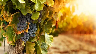 26-09_Zwischenräume (Foto: Adobe Stock) 26-09_Zwischenräume (Foto: Adobe Stock)
