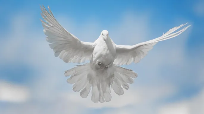 21-05-pfingsten (Foto: istock) 21-05-pfingsten (Foto: istock)