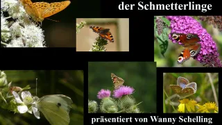 Schmetterlinge_Schelling_2022 (Foto: Felix und Wanny Schelling)