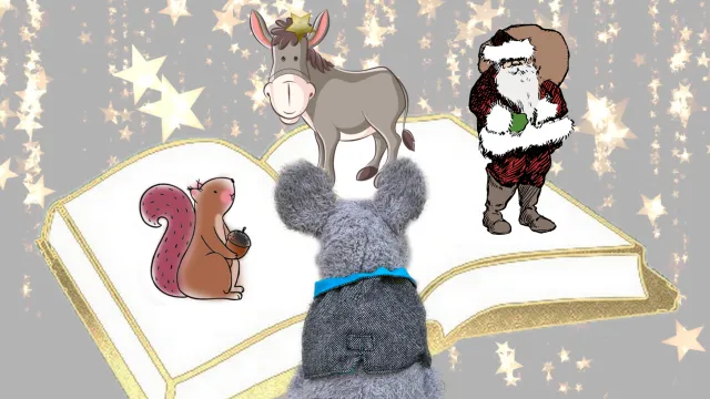 Fiire_Weihnachten_Bild (Foto: Franziska Tanner/pixabay.com) Fiire_Weihnachten_Bild (Foto: Franziska Tanner/pixabay.com)