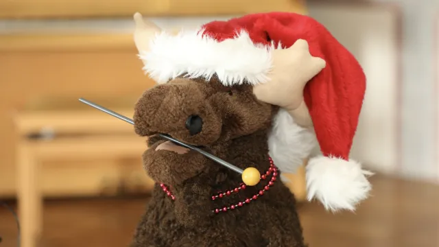 Elki_4_Winter1 (Foto: Petra Steiner) Elki_4_Winter1 (Foto: Petra Steiner)