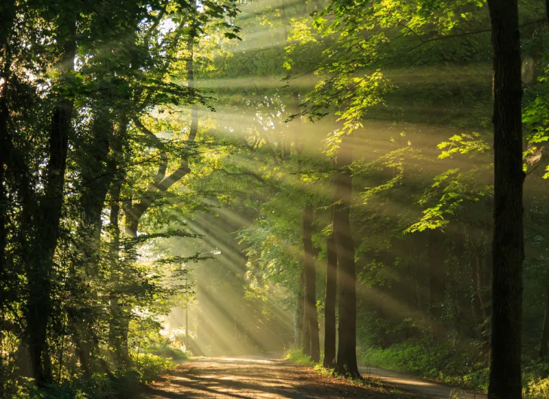 25-01_Sterben (Foto: Adobe Stock) 25-01_Sterben (Foto: Adobe Stock)