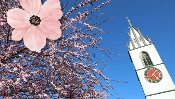 25-05_Muttertag (Foto: Petra Steiner) 25-05_Muttertag (Foto: Petra Steiner)